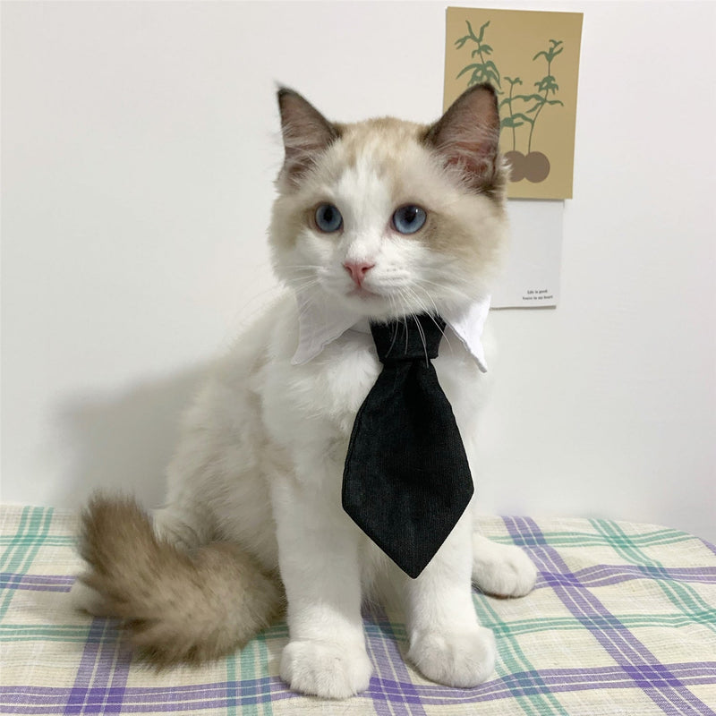 Pet Cat Gentleman Tie Collar Jewelry - Starttech Online Market