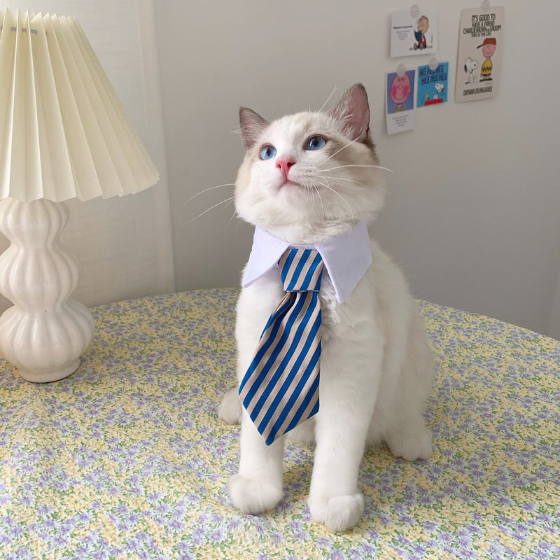 Pet Cat Gentleman Tie Collar Jewelry - Starttech Online Market