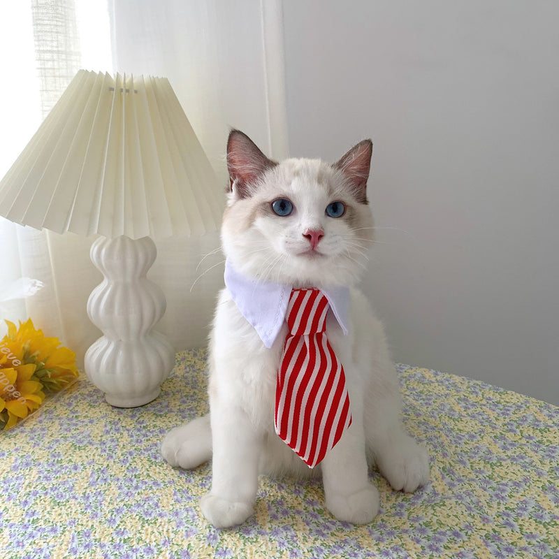 Pet Cat Gentleman Tie Collar Jewelry - Starttech Online Market