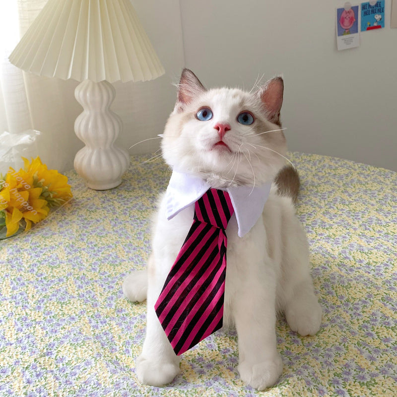 Pet Cat Gentleman Tie Collar Jewelry - Starttech Online Market