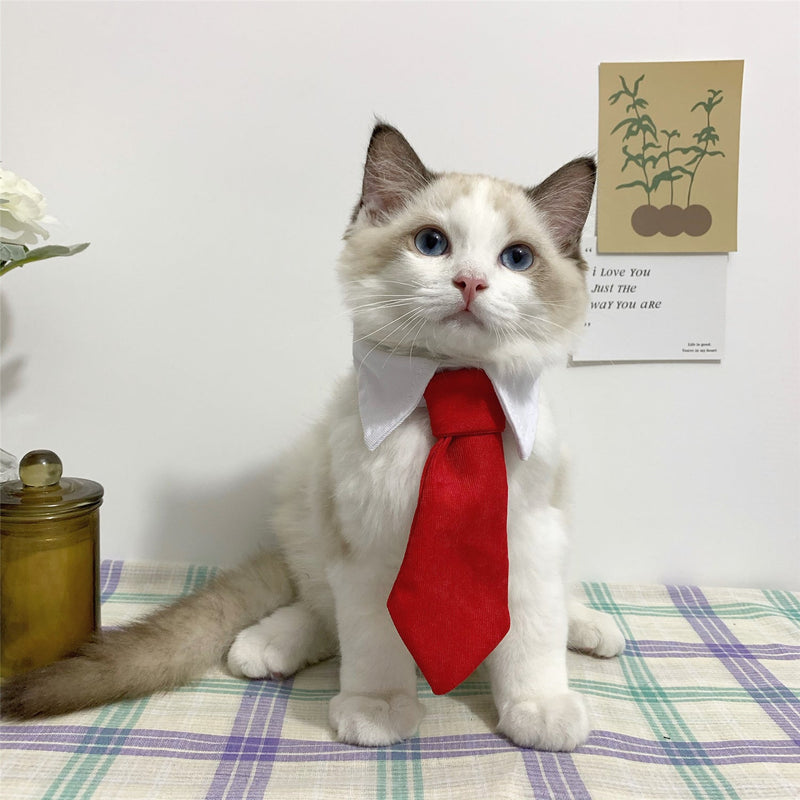 Pet Cat Gentleman Tie Collar Jewelry - Starttech Online Market